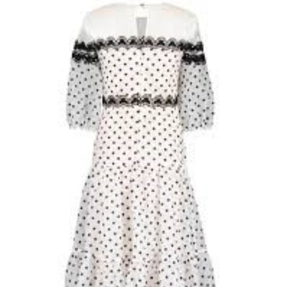 Temperley London Polka Dot Print Brand New W/T Size 2 Dress - Picture 2 of 3